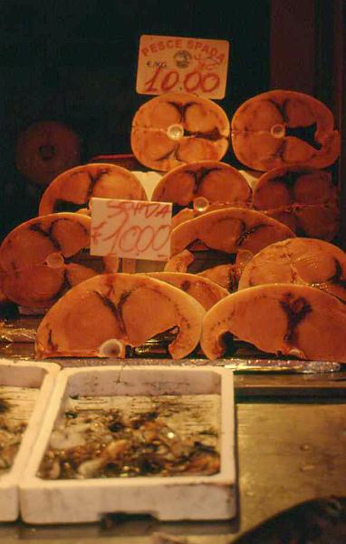 189-Siracusa,2 settembre 2006.jpg